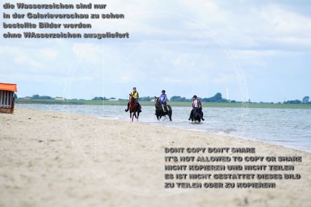 s_K3F05068.JPG